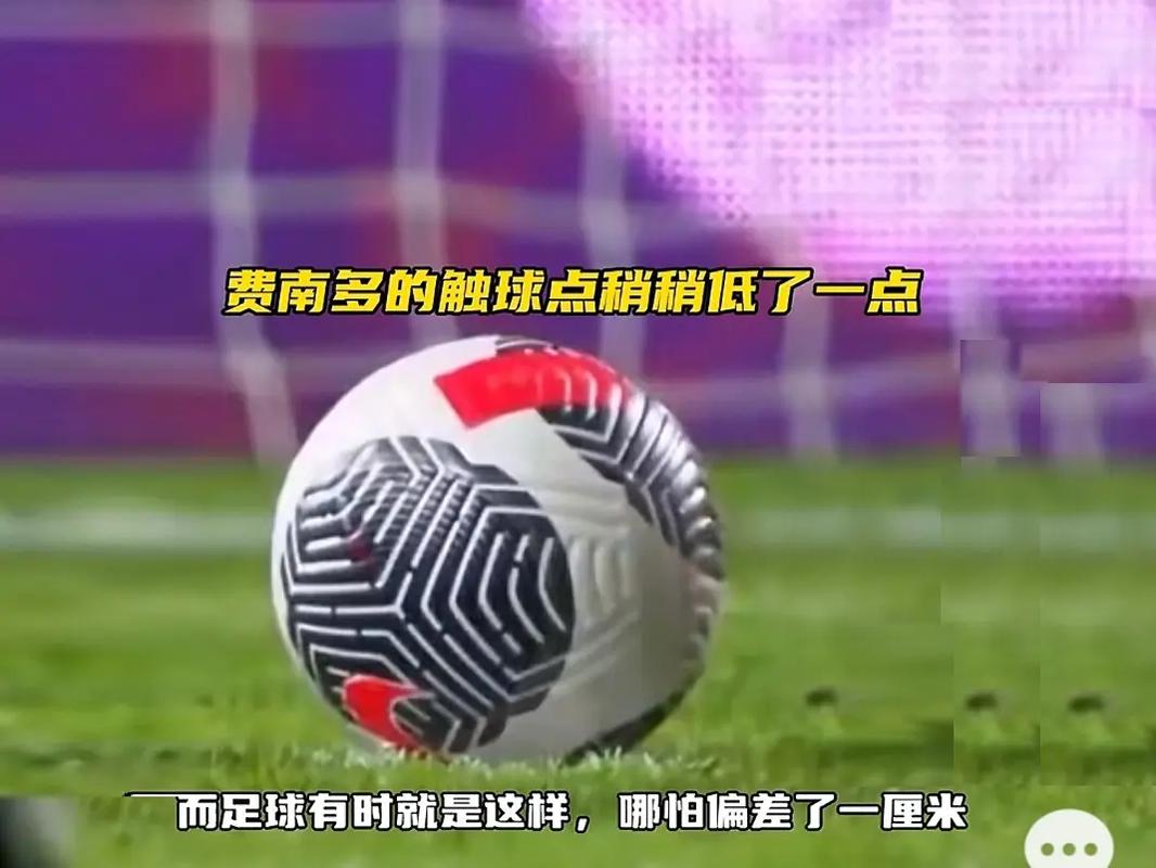 了河南体育